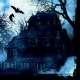 Servietten "Haunted Forest" [48 Stück]