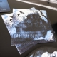 Servietten "Haunted Forest" [48 Stück]
