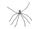 Spinne XL, grau [230cm]