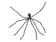 Spinne XL, grau [230cm]