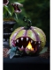 KÜRBIS FLEISCHFRESSEND mit LED [28cm]