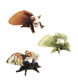 Schmetterling "TOTENKOPF" 3er Set
