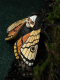 Schmetterling "TOTENKOPF" 3er Set