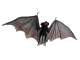Fledermaus, groß [120cm]