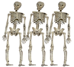 Skelett, 3x mini [15cm]