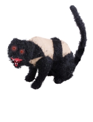 Katze mit Verband [28]