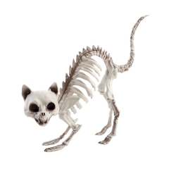 Skelett Katze, klein mit Buckel [19cm]