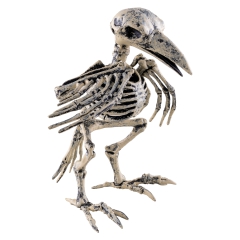 Vogel Skelett [20cm]