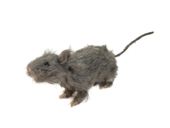 Ratte mit Fell [23cm]