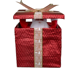 Weihnachtsmann im Geschenk [35cm]