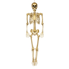 Gold Skelett "Ado" [160cm]
