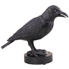 Krähe, verhext [24cm]