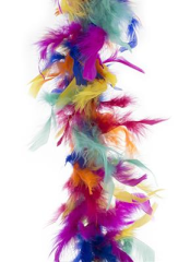 Feder Boa, bunt [200cm]