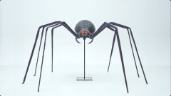 Spinne XL -B Ware- [135cm]