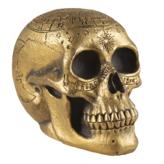 Schädel, gold [20cm]