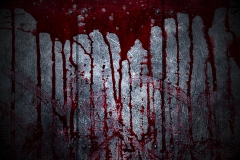 Fotorückwand XL "Blutwand" [350x230cm]