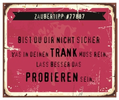 Schild Zaubertipp "Probieren" 42x35cm