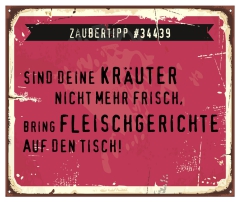 Schild Zaubertipp "Kräuter" 42x35cm