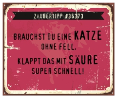 Schild Zaubertipp "Katze" 42x35cm