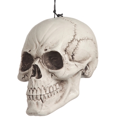 Grosser SCHÄDEL [18x16x27CM]