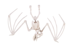 SKELETT Fledermaus [29x16x5cm]