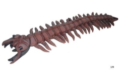 Riesen Reptille [100cm]