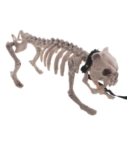 Hundeskelett &quote;Dogge&quote; [43 x 15 x 21cm]